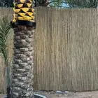 خيزران بامبو حصير قش