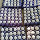 بيض بلدي مخصب عدد الديوك مناسب لعدد الاناث