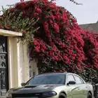 تشارجر RT 2019