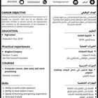 تصميم سيرة ذاتية