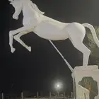 2حصان فيبر موجدين ارتفاع 7متر للبيع