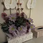 فازه ورد استقبال