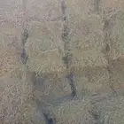 برسيم سعر مناسب جدا  يابلاش