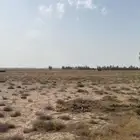 للبيع ارض زراعيه بريده جنوب غرب المطار