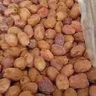 تمر خلاص اشقر فله 11 طن انتاج 2025