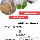 طليان حري مناسبات وثلاجه احجام مختلفه