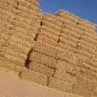 علف تبن