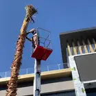 رافعه لتنظيف الواجهات