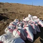 للبيع سماد غنم نضيف