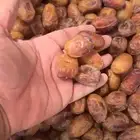 تمر خلاص للبيع الافلاج