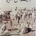 كتب تاريخ قبيله سبيع PDF