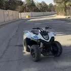 مطلوب دباب السعر 700