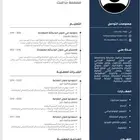 تصميم سيرة ذاتية احترافية CV