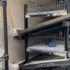 بيت حيوانات أليفة قفص أرانب