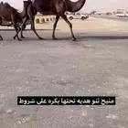 للبيع خلفه منيح ثنو