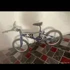 سيكل جديد في تيماء