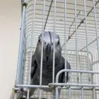 مطلوب كاسكو بسعر معقول