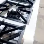 مركبات غاز مركب قز قزوز معدات مطاعم ستانلس استيل