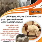 ذبايح حري نعيم تيس توصيل الي حد البيت والمطابخ يوجد تمارى