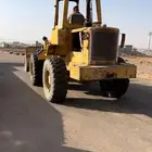 شيولي للإيجار اليومي