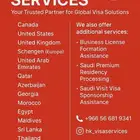 Visa services