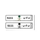 لوحة مميزة 5111 للبيع جاهزة اوراقها