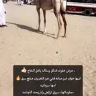 خفوت اصيل شكل وسلاله وسابقه ولاريحوها الا جذعه