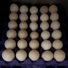 بيض بلدي للاكل