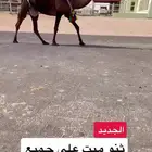 للبيع خلفه ميت ولدها