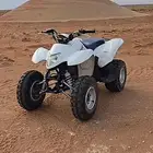 مطلوب دباب سزوكي زد 250