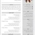 تصميم سيرة ذاتيه احترافيه