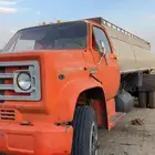 جمس سقس وايت