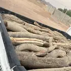 صندوق البيع نضيف