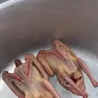 حمام مذبوح وجاهز ذبح اليوم