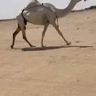 للبيع ضريبه كفو