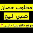 مطلوب حصان البيع