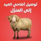 توصيل اضاحي وذبائح داخل الرياض وخارجها ففووورريي