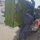 شبك غنم
