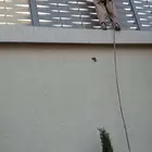 دهان بؤيه شغل جديد اؤقديم