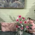 منسق ورد برفشنال خبره 8سنين