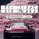 لوحة مميزه _ ح ص و _ 310