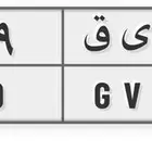 لوحة ن ي ق 19