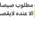 مطلوب صوص حباحب ياشباب