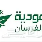 اميال الفرسان ( حجوزات وتحويل للعضوية )