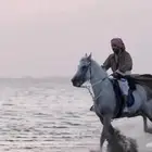 كل مايخص اليوم اليوم الوطني من خيول وفرسان وفارسات وخيام