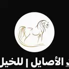 مزاد الأصايل للحيل