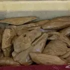 موروكي محسن ملكي بيور بسعر خاص
