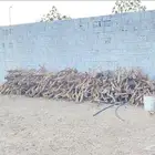 حطب مستورد من مكان بعيد مره