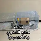 متوفر لدي فندقه طيور