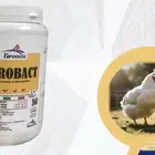 منتج بيطري
